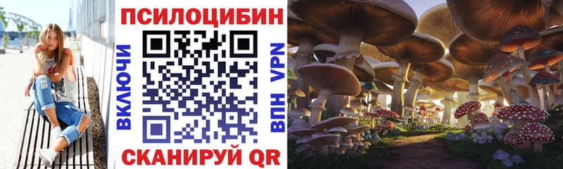 Галлюциногенные грибы прущие грибы  MEGA ТОР  Черемхово  купить закладку 